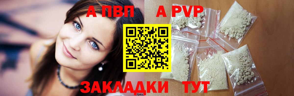 Альфа ПВП СК Кировск