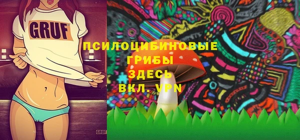 прущая мука Осташков