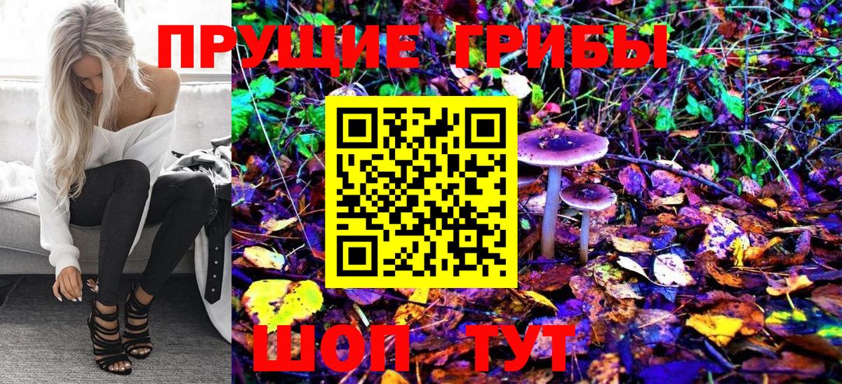 Галлюциногенные грибы MAGIC MUSHROOMS  Псилоцибиновые грибы мицелий  Кировск  Вход с VPN 