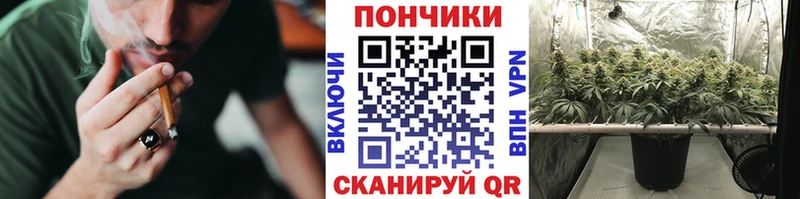 гидра зеркало  Кировск  Каннабис THC 21% 